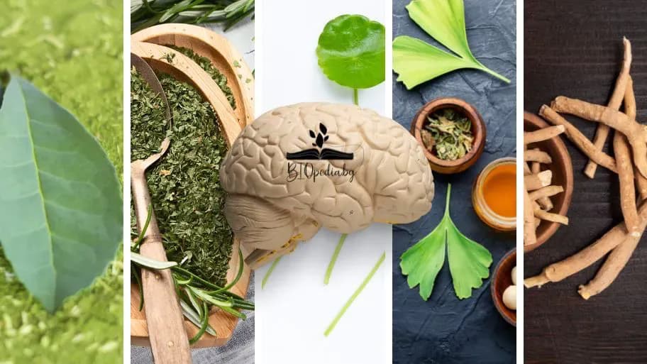 били за подобряване не паметта