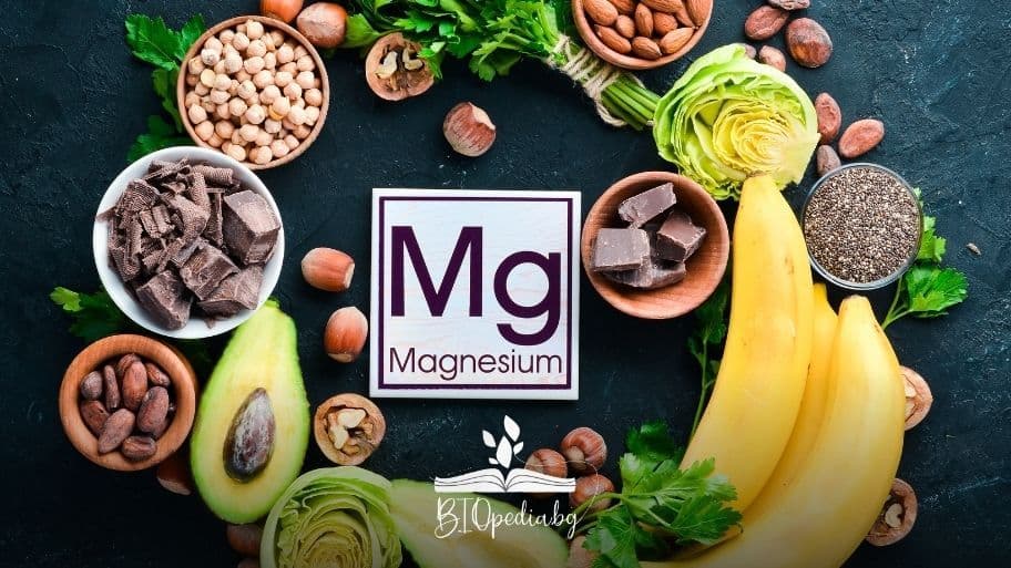 кои храни съдържат магнезий